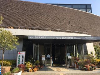 長居公園パステルシャインアート作品展