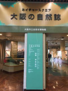 長居公園パステルシャインアート作品展